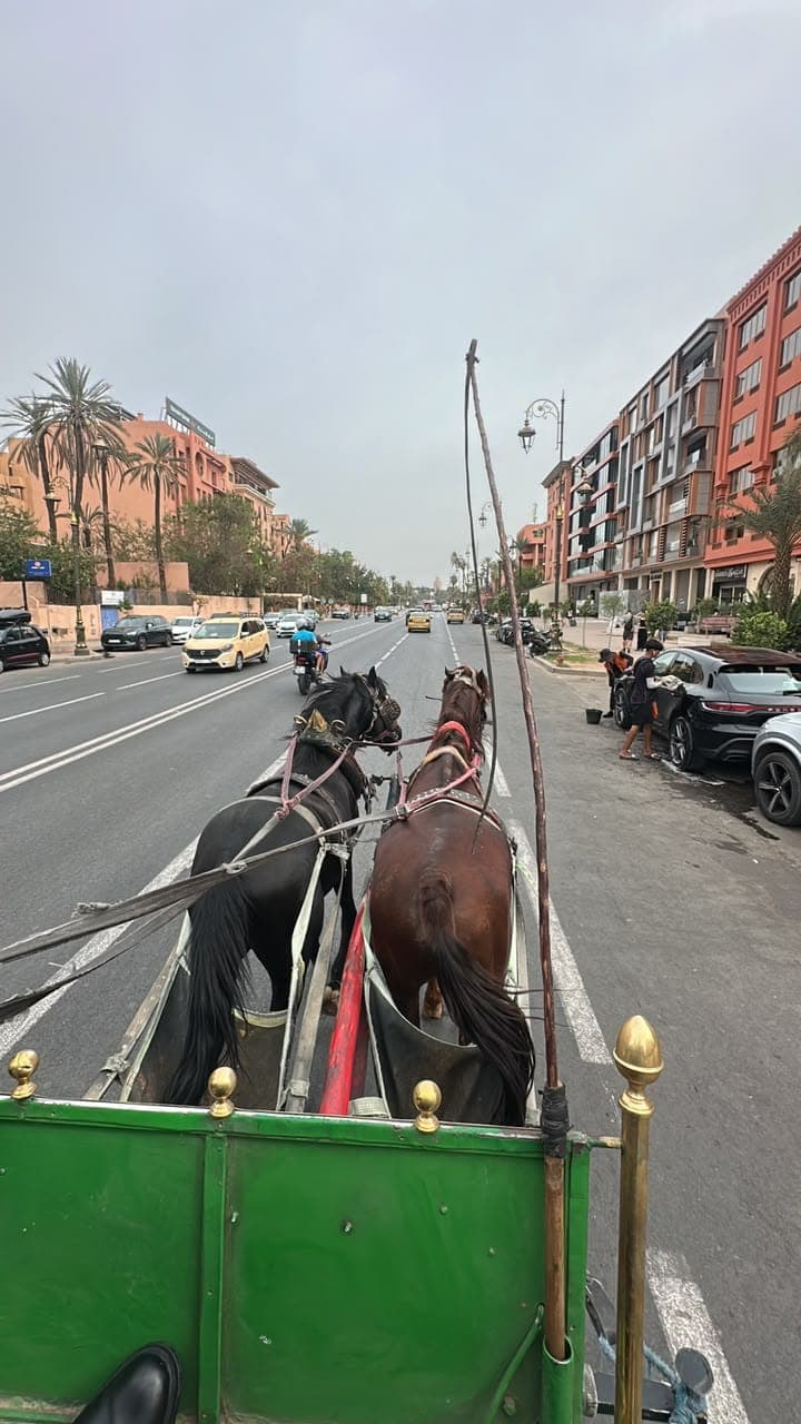 Places visited — Marrakech