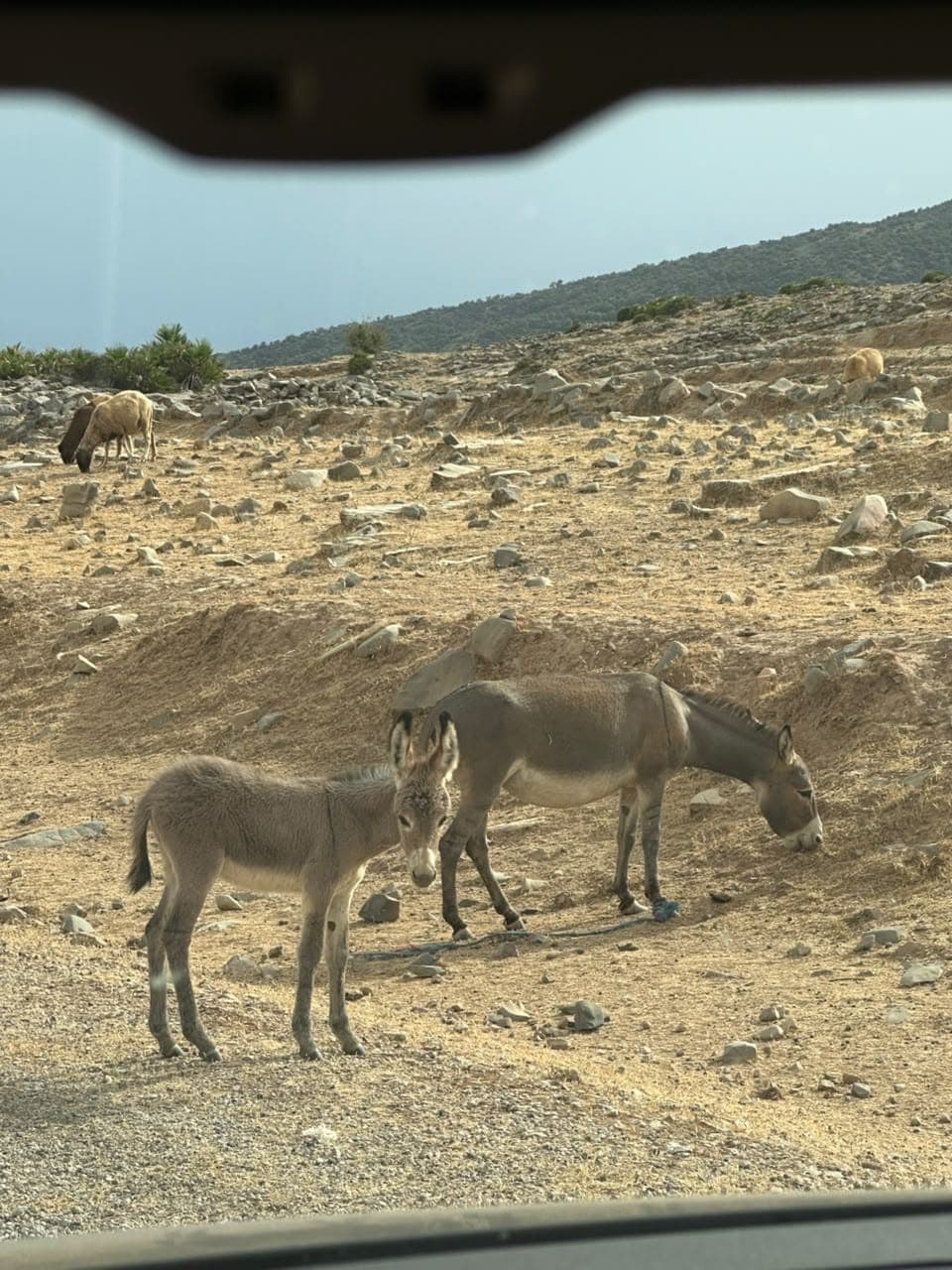 Places visited — Morocco VIP Tour Services