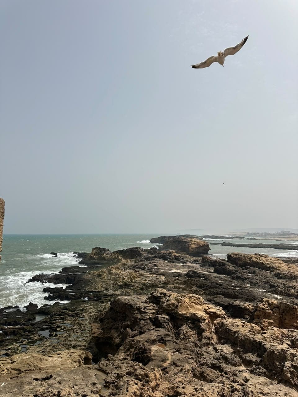 Places visited — Morocco VIP Tour Services