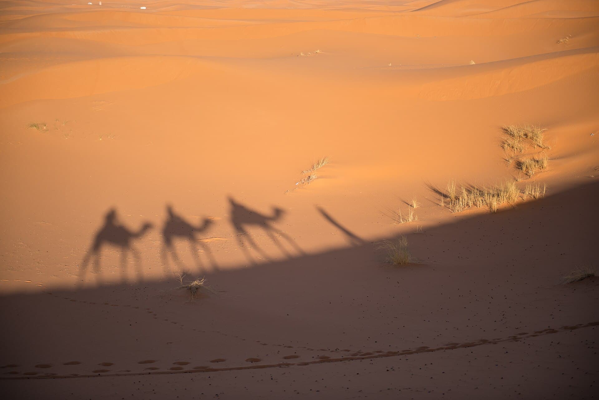 5-Day Morocco Tour from Tangier to Marrakech via Chefchaouen & Sahara