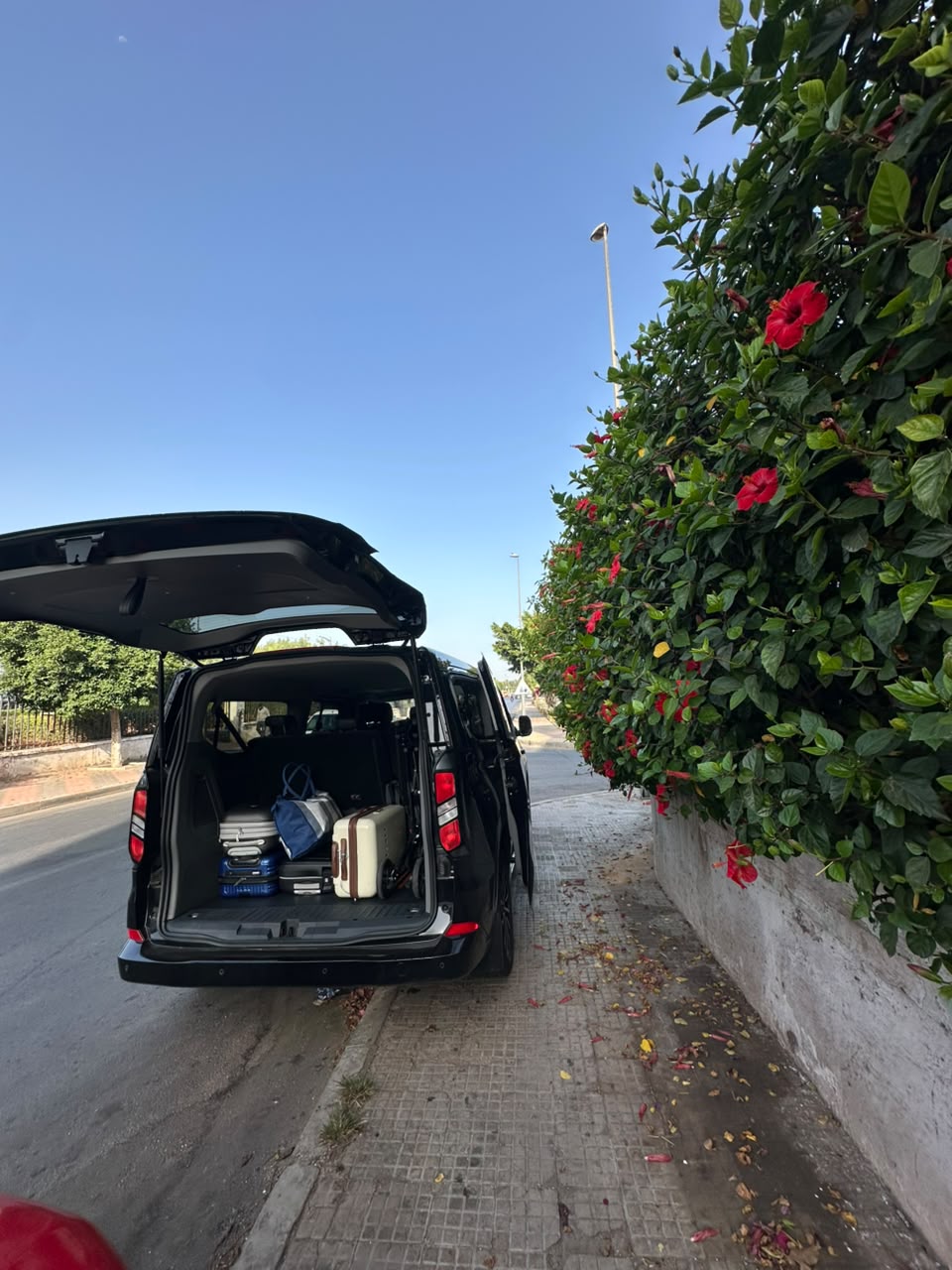 Ford Tourneo photo 1